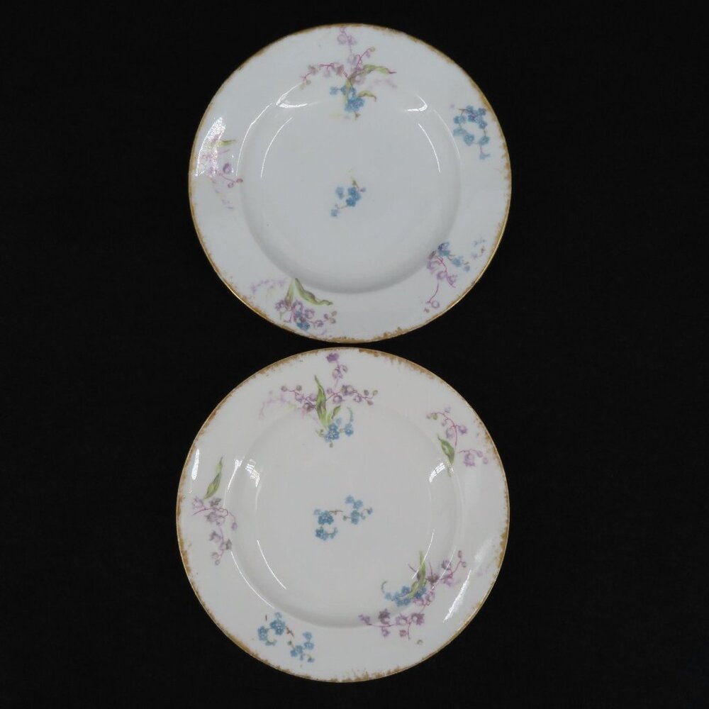 Theodore Haviland Limoges Set 2 Plates 6.25in France Purple Blue Floral Flower